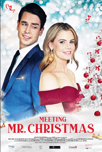 فيلم Meeting Mr. Christmas 2022 مترجم اون لاين