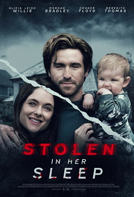 مشاهدة فيلم Stolen in Her Sleep 2022 مترجم