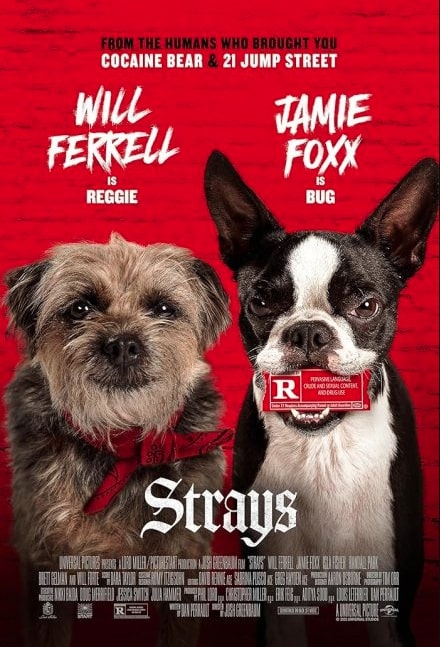 مشاهدة وتحميل فيلم Strays 2023 مترجم اون لاين