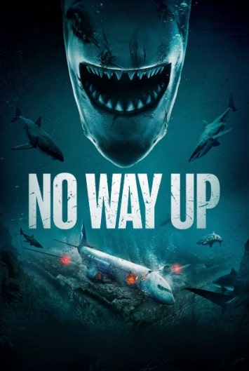 مشاهدة وتحميل فيلم No Way Up 2024 مترجم اون لاين